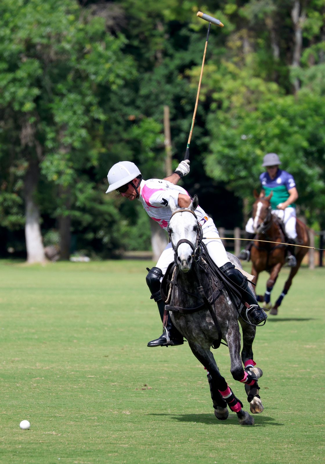 Dominic State — Polo Instructor
